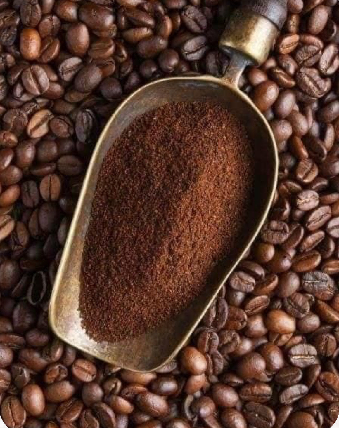 Medium Dark Coffee 8 oz